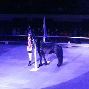 Meet your Posher, Clara